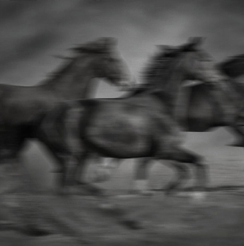 Galloping horses